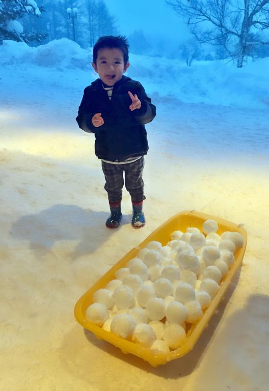 Snowball Chalet At Madarao Mountain Hotel อิยามะ ภายนอก รูปภาพ